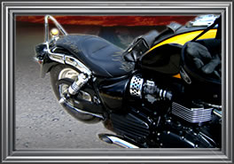 Custom motorcycle seats
